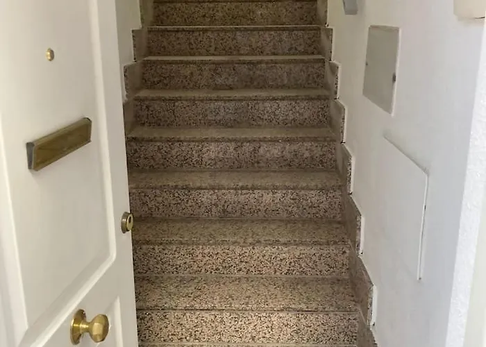 Vut Imperial La Ranita Salmantina