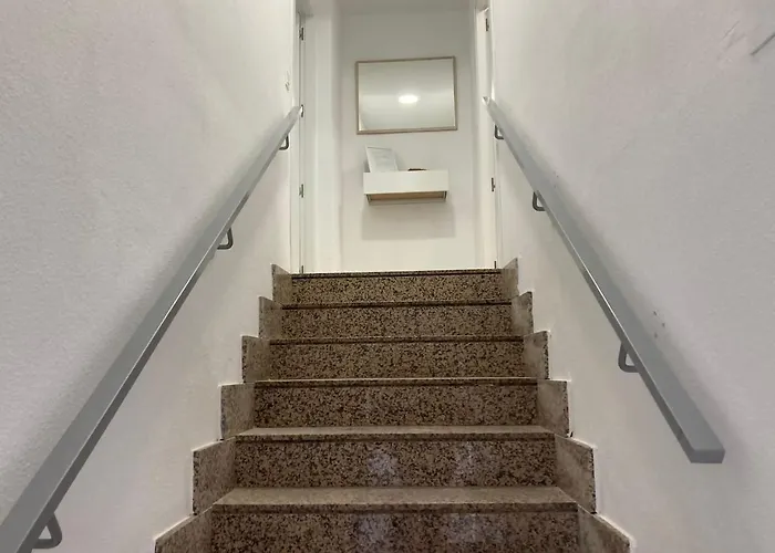 Vut Imperial La Ranita Salmantina